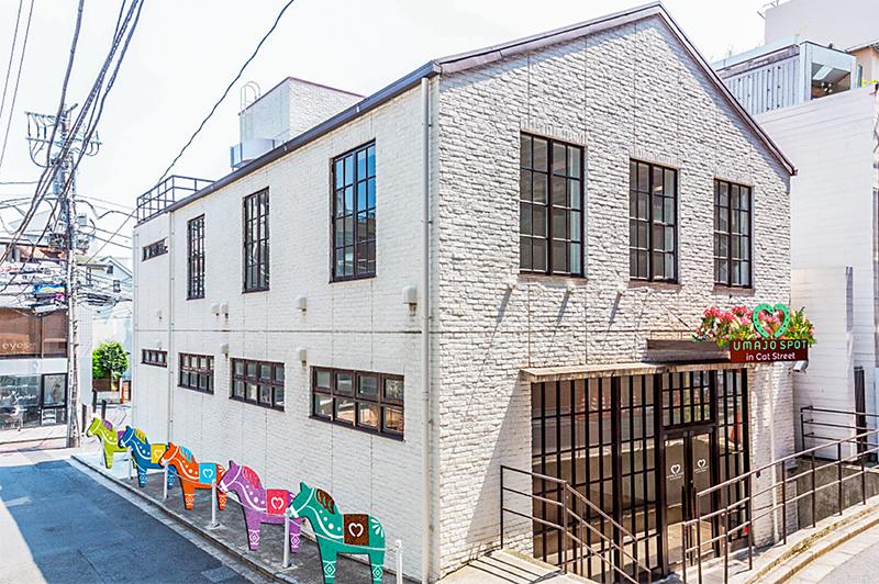 女性・若者を競馬場に誘引